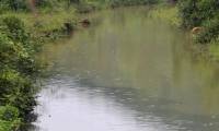 Does the water purifier filter out oil?