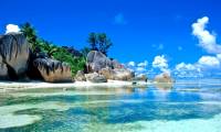 Download a set of marine theme wallpapers for Desktop