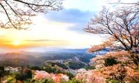 Download Japanese wallpapers for Windows 10