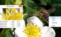 Download Screen Beagle PRO software for $ 19, free of charge
