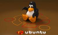 Download Ubuntu right in Windows Store only brothers