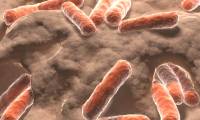 Drug-resistant bacteria greatly affect people living in nursing homes