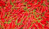 Eating red peppers reduced by 13% the risk of death by stroke, cardiovascular