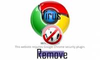 Error correction 'Security error: This website requires the Google chrome security plugin' in browsers