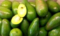 Experience in selecting delicious avocados without soaking chemicals