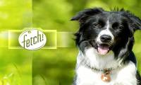Experience the Fetch fun app - What is your dog?
