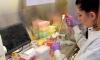 Expert: There will be no lifelong immunity to SARS-CoV-2