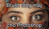 Eyebrow brush for Photoshop