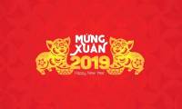 Facebook cover photo greeting spring Pig year 2019