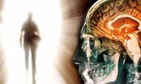 Fearful truth: The mind still works even when the body is dead