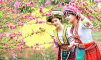 Festivals and places of popular spring travel in Vietnam should not be missed