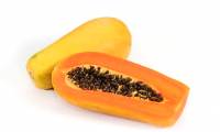 Find out the mechanism of producing solar cells by enzyme of papaya
