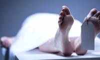 Find the gene that is still active after our bodies die