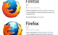 FireFox browser changes the logo on version 23