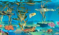 Fish are encroaching on the sea kelp species
