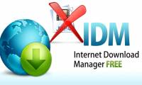 Fix IDM error without capturing MP4 file download on Chrome