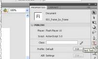 Flash CS4: Create Preview for Custom presets