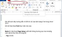 Font format in Word