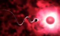 For the healthiest sperm, men go to sleep at this 'golden time'