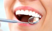 Found Chinese plants with antibacterial properties, able to resist dental problems