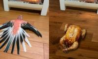 Funny photo series in Photoshop battle of photo developers (Part 4)