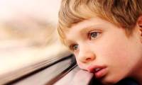 Genes play an important role in children exploring the world in a visual way
