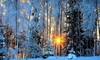 Good status sentences and meanings for winter
