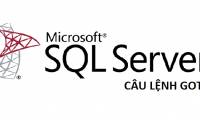 GOTO command in SQL Server