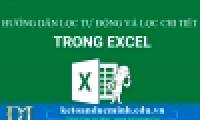 Guide to Automatic Filter and Filter detailed data in excel