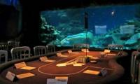 Hackers attack the casino through a hole in the smart thermometer of the aquarium