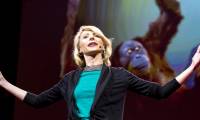 Harvard psychologist: 2 criteria people use to evaluate you in the first meeting