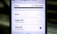 Here Maps for Android has Vietnamese voice