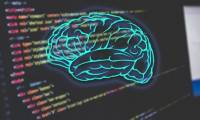 How does programming affect our brains?