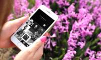 How to adjust black and white artwork on iPhone
