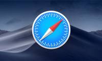 How to change the default zoom level on Safari macOS