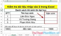 How to Check Data Entered in a Cell in Excel