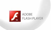 How to check the Adobe Flash Player version in the browser