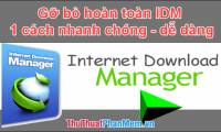 How to completely remove IDM (Internet Download Manager) from the computer
