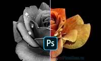 How to convert a color image to black and white using Photoshop