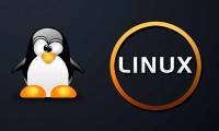 How to copy and rename files in Linux