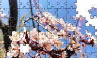 How to create a puzzle effect for photos