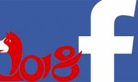 How to create an avatar Facebook Tết Hoi Hoi 2019