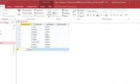How to create calculated and total rows fields in Access 2016