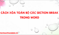 How to delete all Section Break in Word