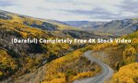 How to download 4K videos on Dareful