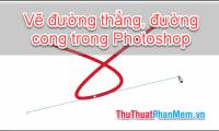 How to draw straight lines, curves in Photoshop