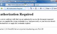 How to fix 401 Unauthorized error