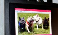 How to get Windows Photo Viewer back in Windows 10