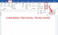 How to insert an Excel table into Word
