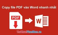How to insert and copy PDF files into Word quickly and standardly